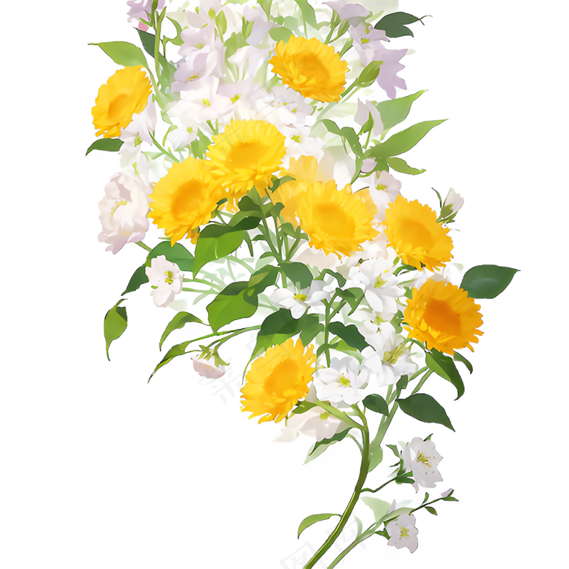 黄色 唯美 手绘 免抠 PNG 花 植物 素材18