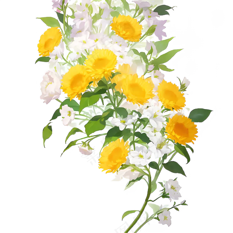 黄色 唯美 手绘 免抠 PNG 花 植物 素材18
