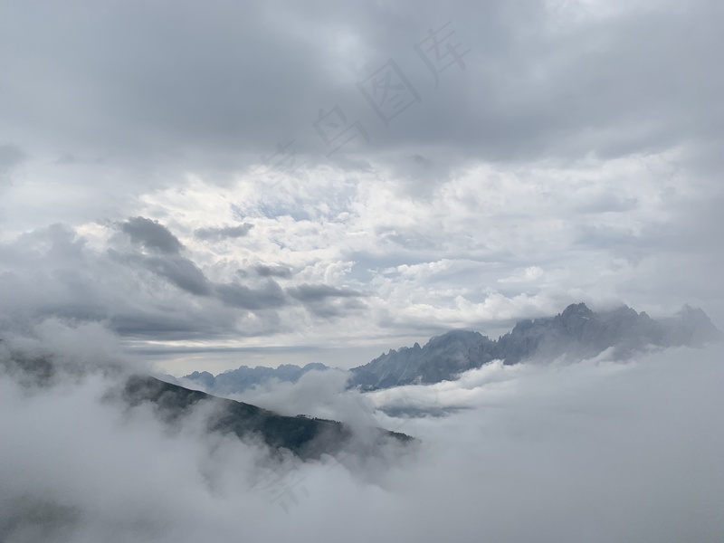云雾森林图片