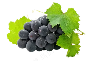 葡萄 免抠图