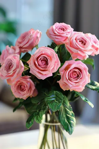 玫瑰花鲜花花朵摄影图