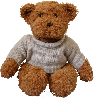 动物熊布娃娃公仔穿衣服透明底PNG