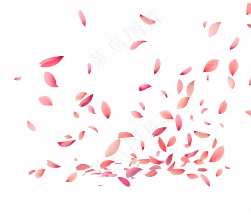 花瓣桃花樱花飘零插画免抠(1152x1024)