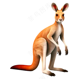 免抠站立着的大袋鼠