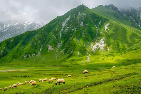 春天高原草地草地牛羊摄影图