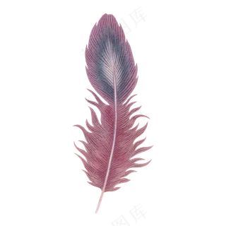 水彩羽毛免扣