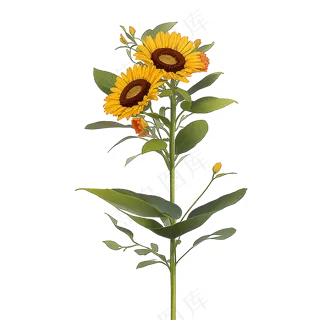 黄色向日葵免抠素材81