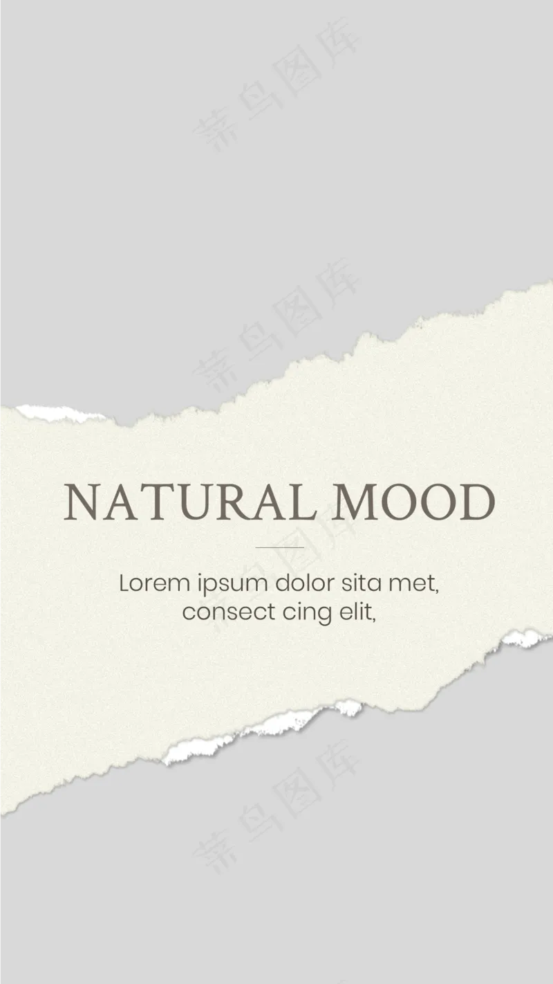 棕色背景撕裂风照片竖立形相册19psd模版下载