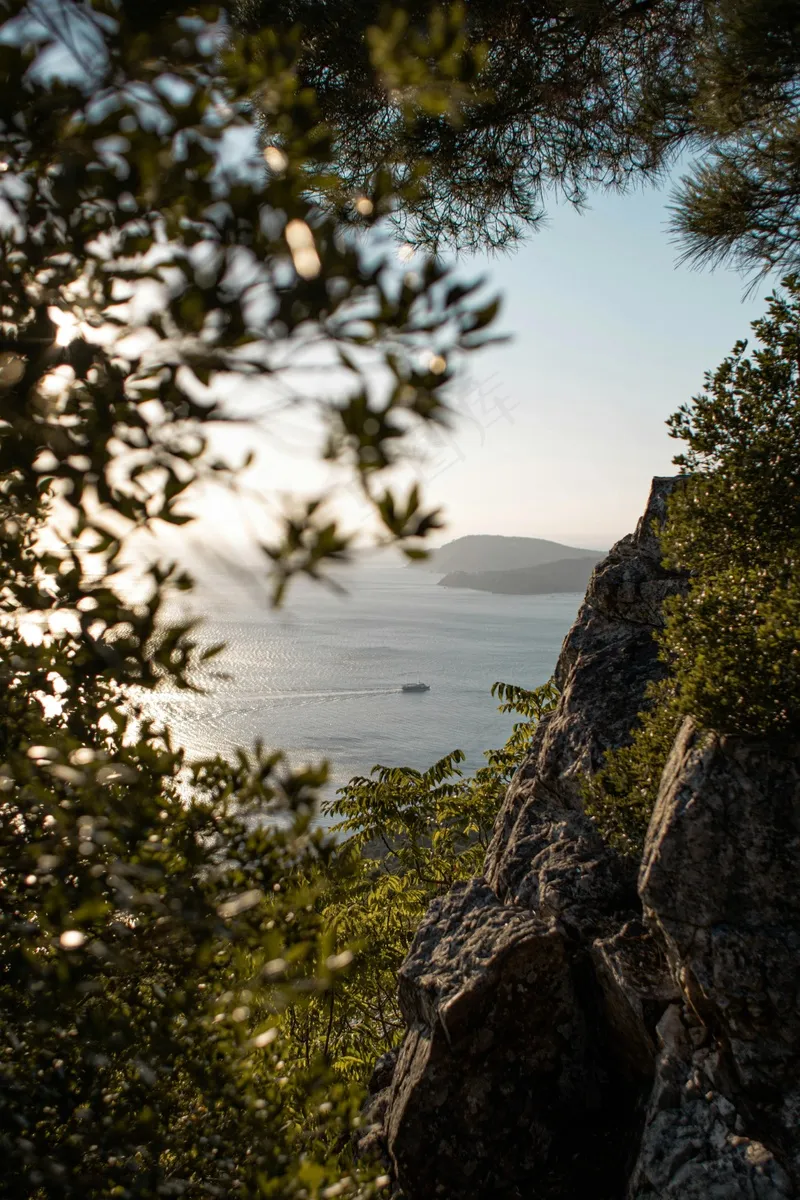 隐秘山林中的海景落日