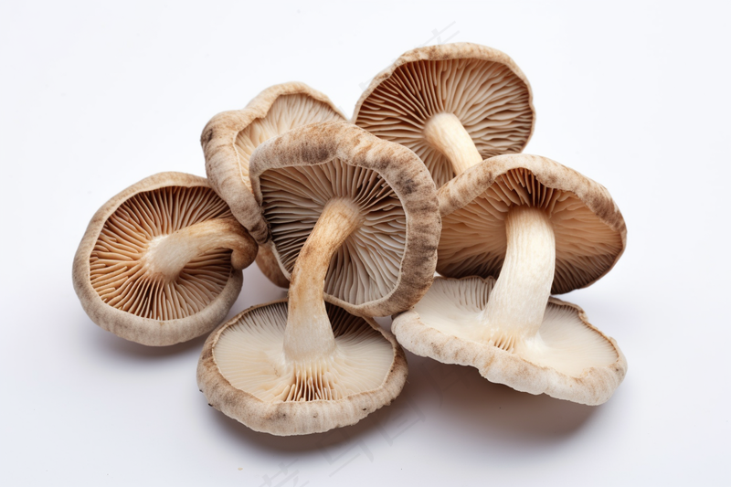 香菇蘑菇干货实物菌类摄影图