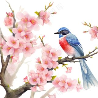 春桃花樱花树枝蓝鸟水彩画卡通插画免抠
