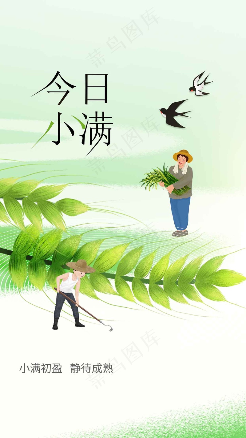 小满节气传统海报psd模版下载
