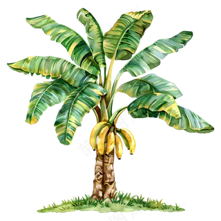 免扣卡通绿色的香蕉树