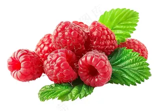 树莓水果摄影图免抠
