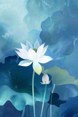 夏天荷花荷叶插画立夏夏至处暑卡通插画背景