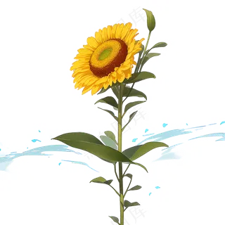 黄色向日葵免抠素材106