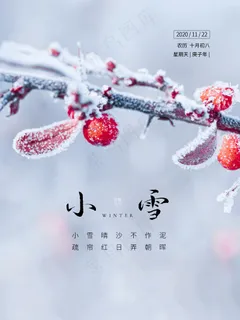 小雪传统24节气海报模板315
