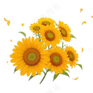 金色向日葵花丛素材17