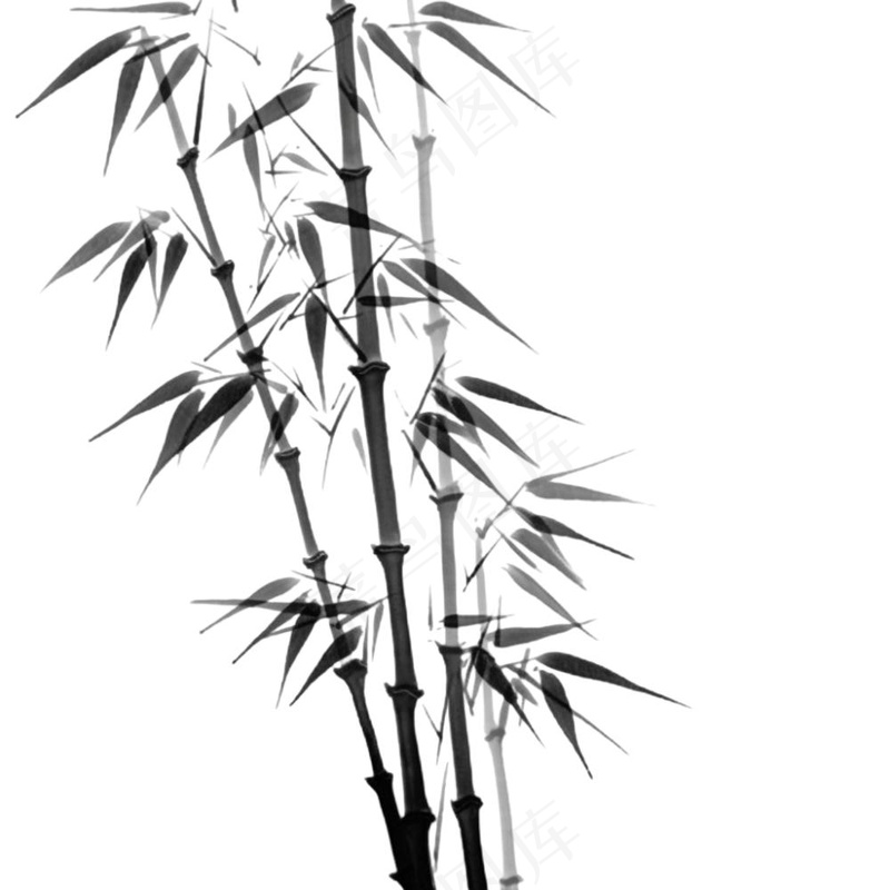 竹林竹叶水墨画古风黑白插画免抠(1024x1024)