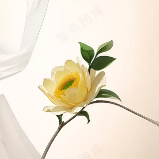 白色黄色手绘新中式风格花植物120