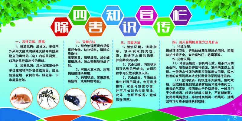 除四害宣传栏psd模版下载