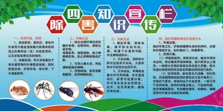 除四害宣传栏
