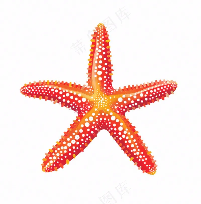 海星海洋卡通插画免抠(1024x1040)