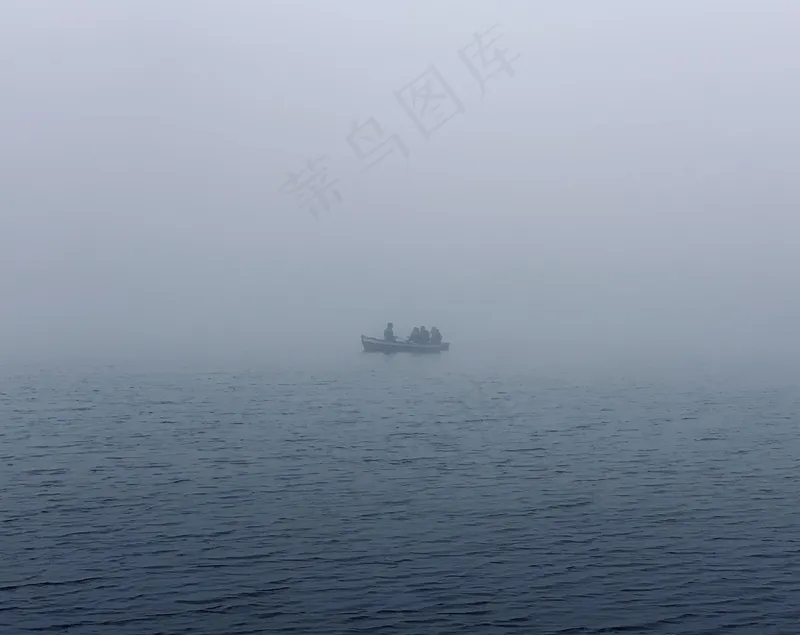 云雾森林图片