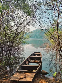 停泊在河边的小船，悠然自得