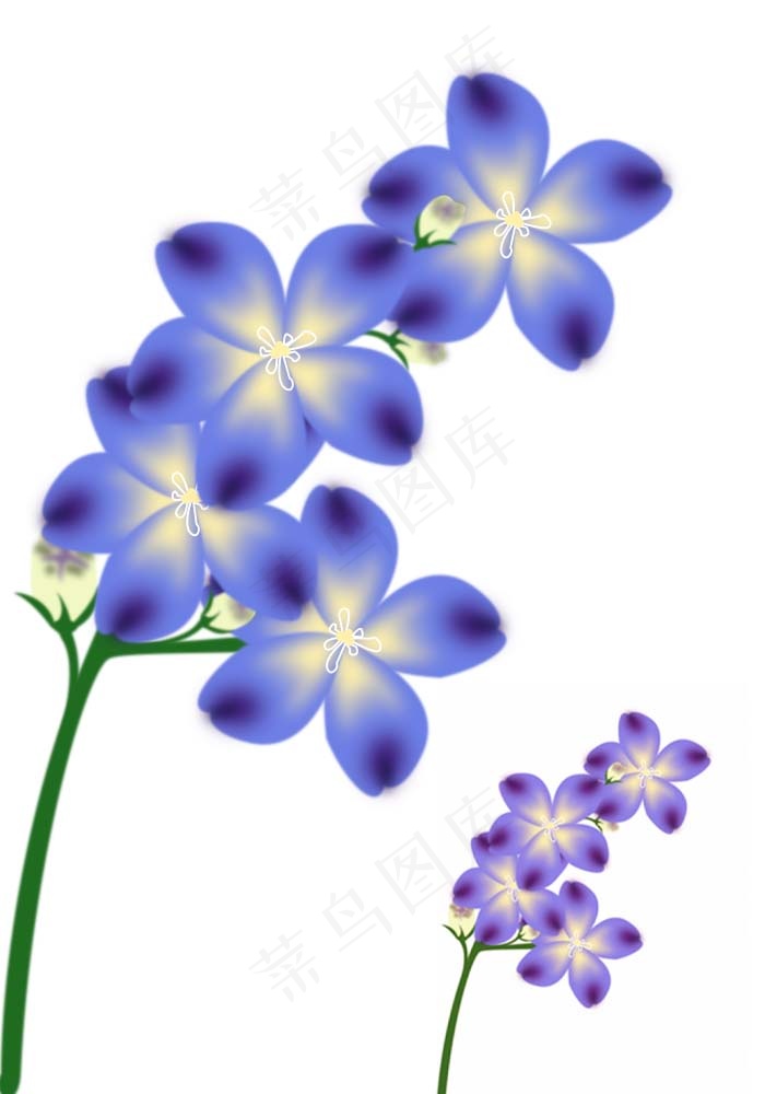 紫色花素材psd模版下载