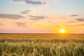 清晨日出朝霞云层山川摄影图