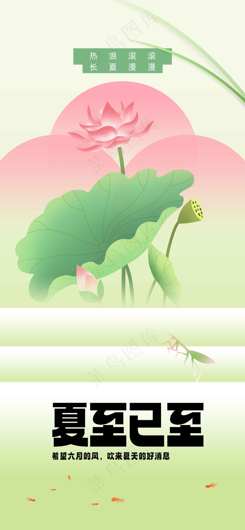 简约荷叶夏至节气海报