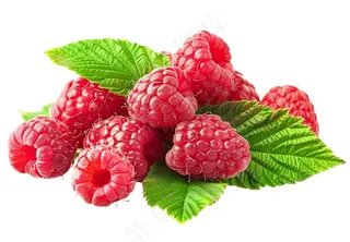 树莓水果摄影图免抠