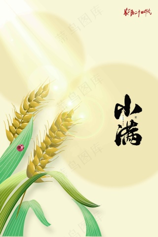 小满节气传统活动海报
