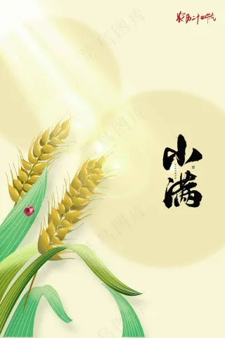 小满节气传统活动海报