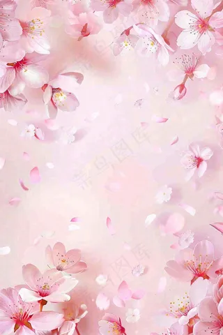 粉色樱花桃花花瓣飘落唯美浪漫春天春分情人七夕背景