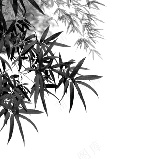 中国风水墨竹子图片古风竹叶竹林水彩手绘插画PNG免扣设计