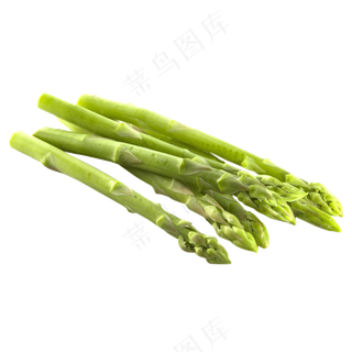 免抠蔬菜芦笋素材