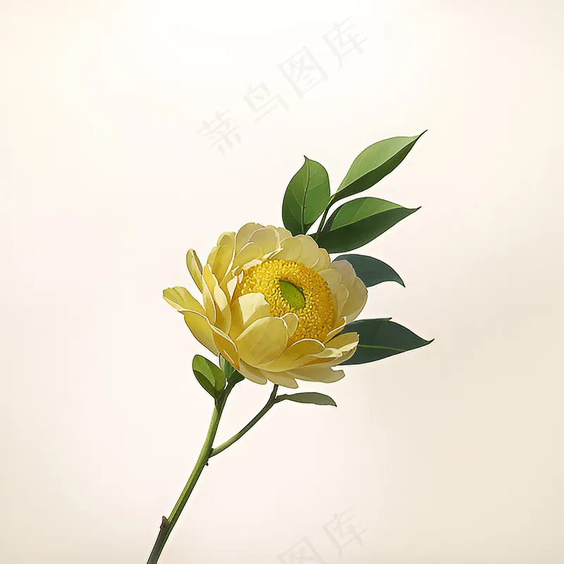 白色黄色手绘新中式风格花植物82
