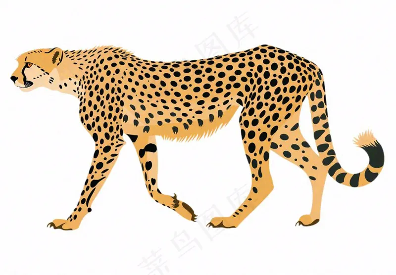 猎豹豹纹动物卡通插画免抠(1312x912)