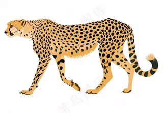 猎豹豹纹动物卡通插画免抠