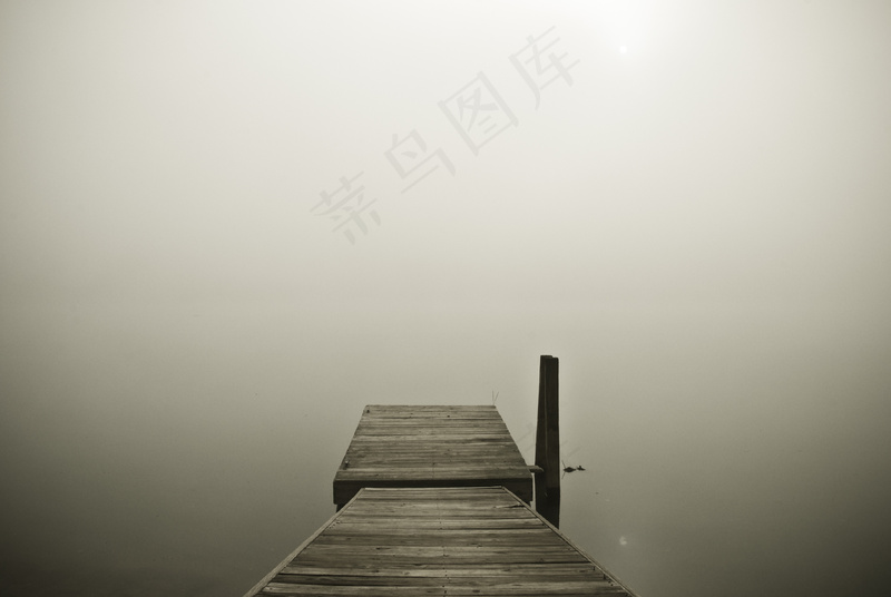 云雾森林图片
