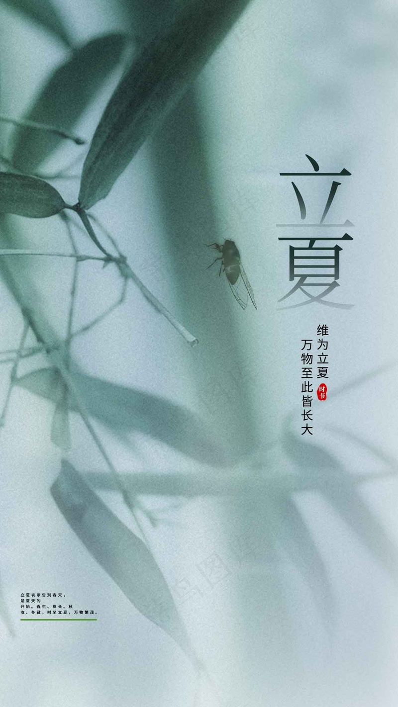 立夏节气海报psd模版下载