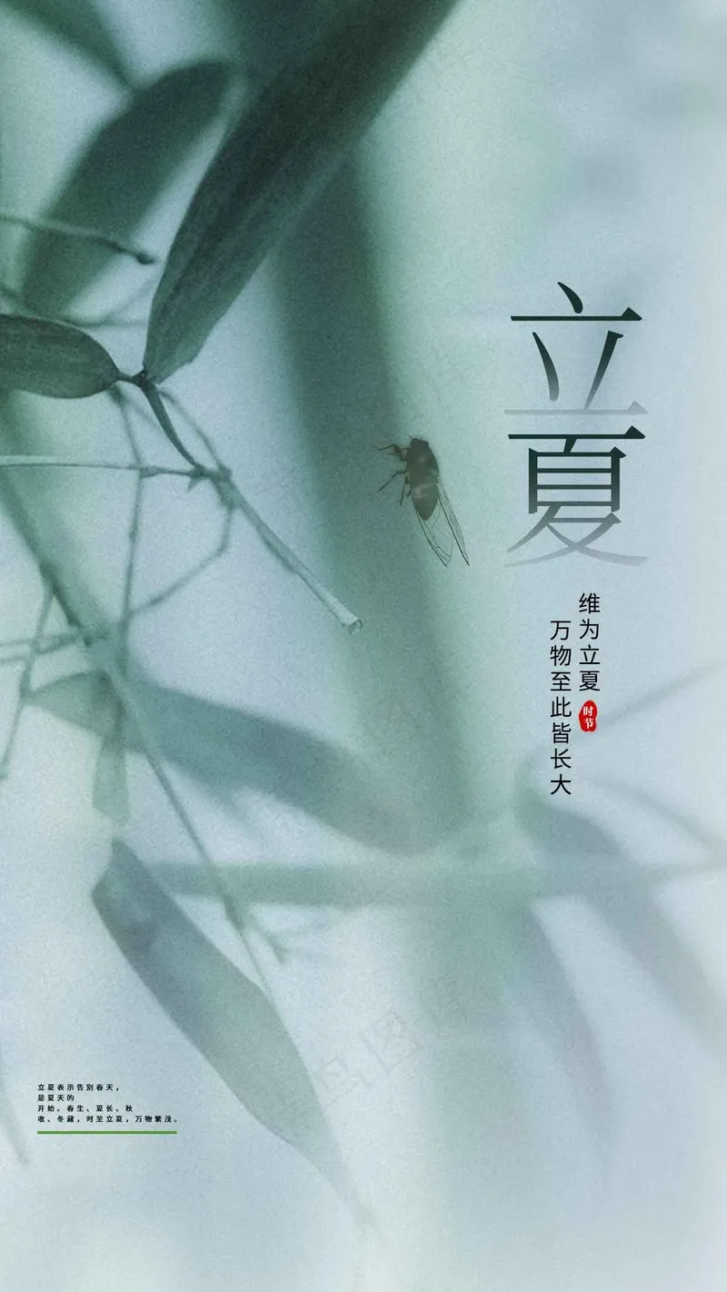 立夏节气海报psd模版下载