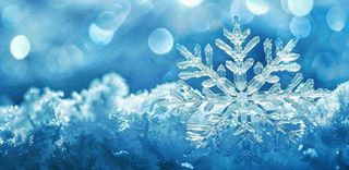 冬天雪花结冰寒冷大寒小寒大雪立冬冬至摄影图