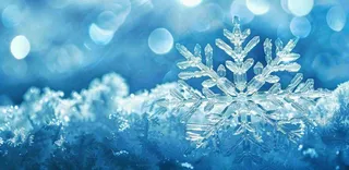 冬天雪花结冰寒冷大寒小寒大雪立冬冬至摄影图