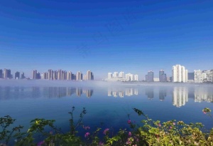 湿地公园看雾景4
