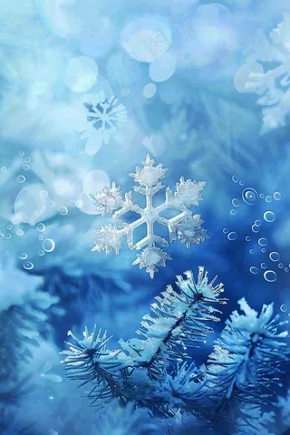 冬天松树雾凇雪花蓝白寒冷立冬冬至大雪小雪背景