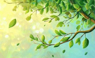 春夏绿色树枝绿叶清新绿意立夏插画背景