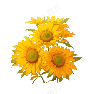 黄色向日葵花朵免抠素材43